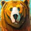 thebear51